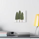 Ponderosa Pine Canvas Print – Wall Art
