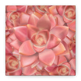 Graptosedum California Sunset Succulent Pattern Canvas Print – Botanical Wall Art