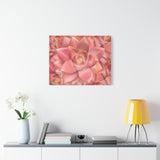 Graptosedum California Sunset Succulent Pattern Canvas Print – Botanical Wall Art