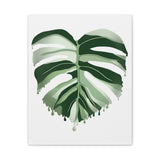 Melting Monstera Albo Canvas Print – Botanical Wall Art