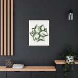 Manjula Pothos Canvas Print – Botanical Wall Art
