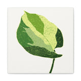 Manjula Pothos Illustrated Canvas Print – Botanical Wall Art