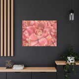 Graptosedum California Sunset Succulent Pattern Canvas Print – Botanical Wall Art