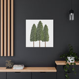 Ponderosa Pine Canvas Print – Wall Art
