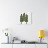 Ponderosa Pine Canvas Print – Wall Art