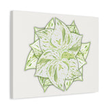 Snow Queen Pothos Canvas Print – Botanical Wall Art