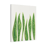 Snake Plant Canvas Print – Botanical Wall Art
