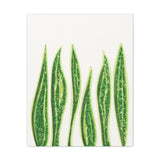 Snake Plant Canvas Print – Botanical Wall Art