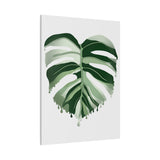 Melting Monstera Albo Canvas Print – Botanical Wall Art