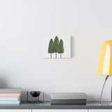 Ponderosa Pine Canvas Print – Wall Art