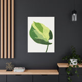 Manjula Pothos Illustrated Canvas Print – Botanical Wall Art