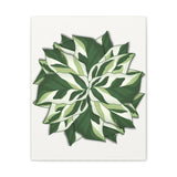 Calathea White Fusion Canvas Print – Botanical Wall Art