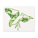 Marble Syngonium Canvas Print – Botanical Wall Art