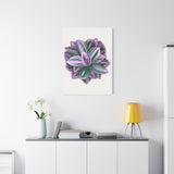 Tradescantia Nanouk Canvas Print – Botanical Wall Art