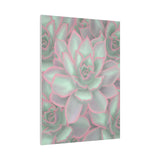 Echeveria Violet Queen Succulent Pattern Canvas Print – Botanical Wall Art