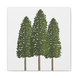 Ponderosa Pine Canvas Print – Wall Art