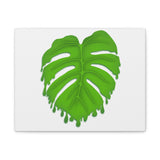 Melting Monstera Canvas Print – Botanical Wall Art