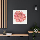 Graptosedum California Sunset Succulent Canvas Print – Botanical Wall Art