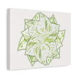 Snow Queen Pothos Canvas Print – Botanical Wall Art