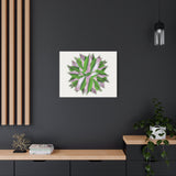 Syngonium Tricolor Pattern Canvas Print – Botanical Wall Art