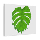 Melting Monstera Canvas Print – Botanical Wall Art