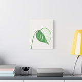 Monstera Albo Canvas Print – Botanical Wall Art