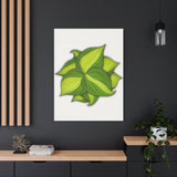 Philodendron Brasil Canvas Print – Botanical Wall Art
