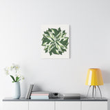 Calathea White Fusion Canvas Print – Botanical Wall Art