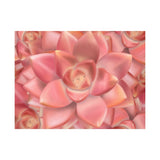 Graptosedum California Sunset Succulent Pattern Canvas Print – Botanical Wall Art