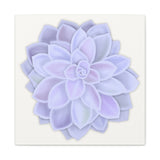 Graptopetalum Murasaki Succulent Canvas Print – Botanical Wall Art