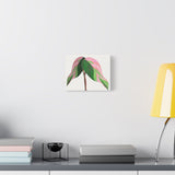 Pink Princess Philodendron Canvas Print – Botanical Wall Art