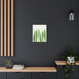 Snake Plant Canvas Print – Botanical Wall Art