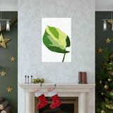 Manjula Pothos Illustrated Botanical Print – Unframed Wall Art