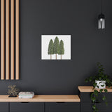 Ponderosa Pine Canvas Print – Wall Art