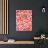 Graptosedum California Sunset Succulent Pattern Canvas Print – Botanical Wall Art
