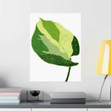 Manjula Pothos Illustrated Botanical Print – Unframed Wall Art