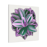 Tradescantia Nanouk Canvas Print – Botanical Wall Art