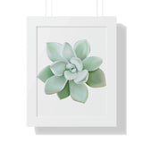 Pachyveria Haagei Succulent Framed Print – Botanical Wall Art