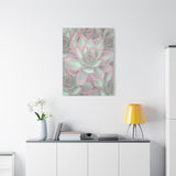 Echeveria Violet Queen Succulent Pattern Canvas Print – Botanical Wall Art