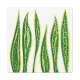 Snake Plant Canvas Print – Botanical Wall Art