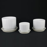 3-Piece White Stoneware Planter Set with Fluted Design