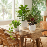 Dining room with a wooden table and chairs, featuring 3-Piece White Stoneware Planter Set with Fluted Design
