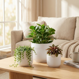 3-Piece White Stoneware Planter Pot Set with Vertical Line Texture on a wooden coffee table in a living room.