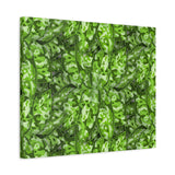 Aglaonema Pictum Canvas Print – Botanical Wall Art