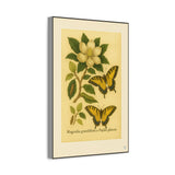 Magnolia and Eastern Tiger Swallowtail, Botanical Illustration on Canvas