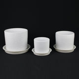 3-Piece White Stoneware Planter Set with Geometric Line Design
