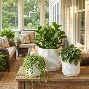 indoor planter set of 3 3-Piece White Stoneware Planter Set with Geometric Line Design