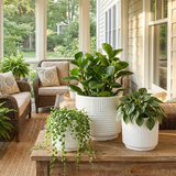 Potted plants in 3-Piece White Stoneware Planter Set with Geometric Line Design on a wooden table with a cozy setting