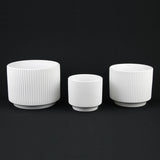 3-Piece White Stoneware Planter Pot Set with Ribbed Texture with ribbed texture on a black background