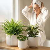 Woman in a white robe with 3-Piece White Stoneware Planter Pot Set with Ribbed Texture